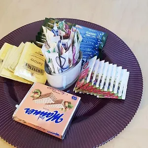شقة وان شميدغاسه, فيينا